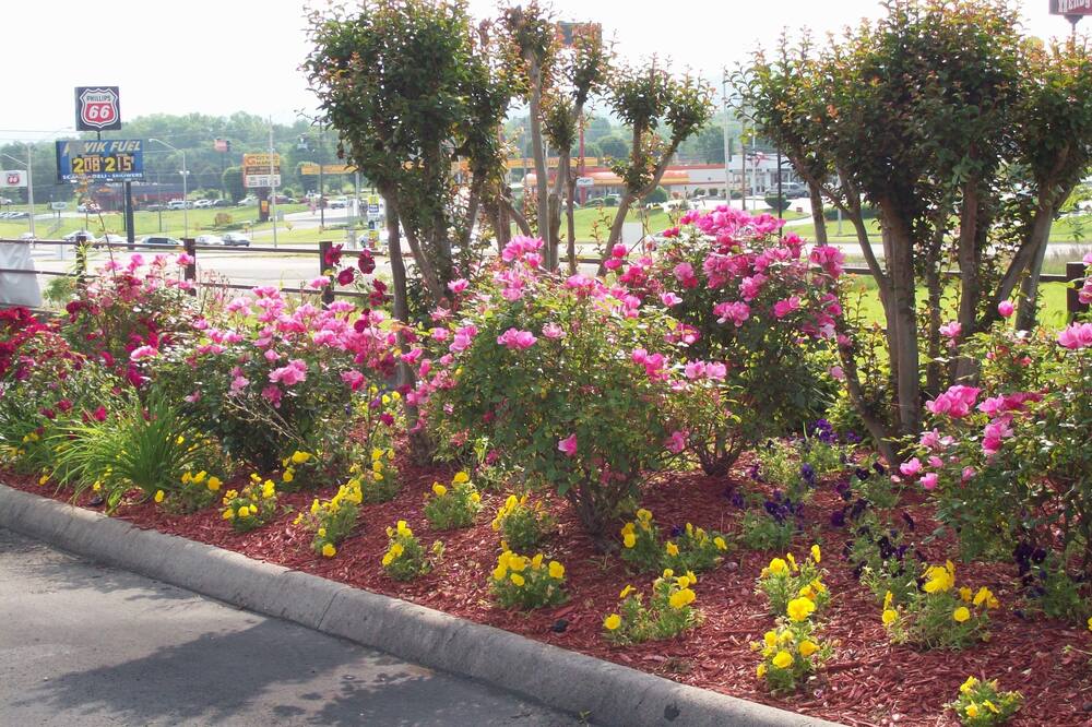 クオリティ イン クリントン - ノックスビル ノース 写真