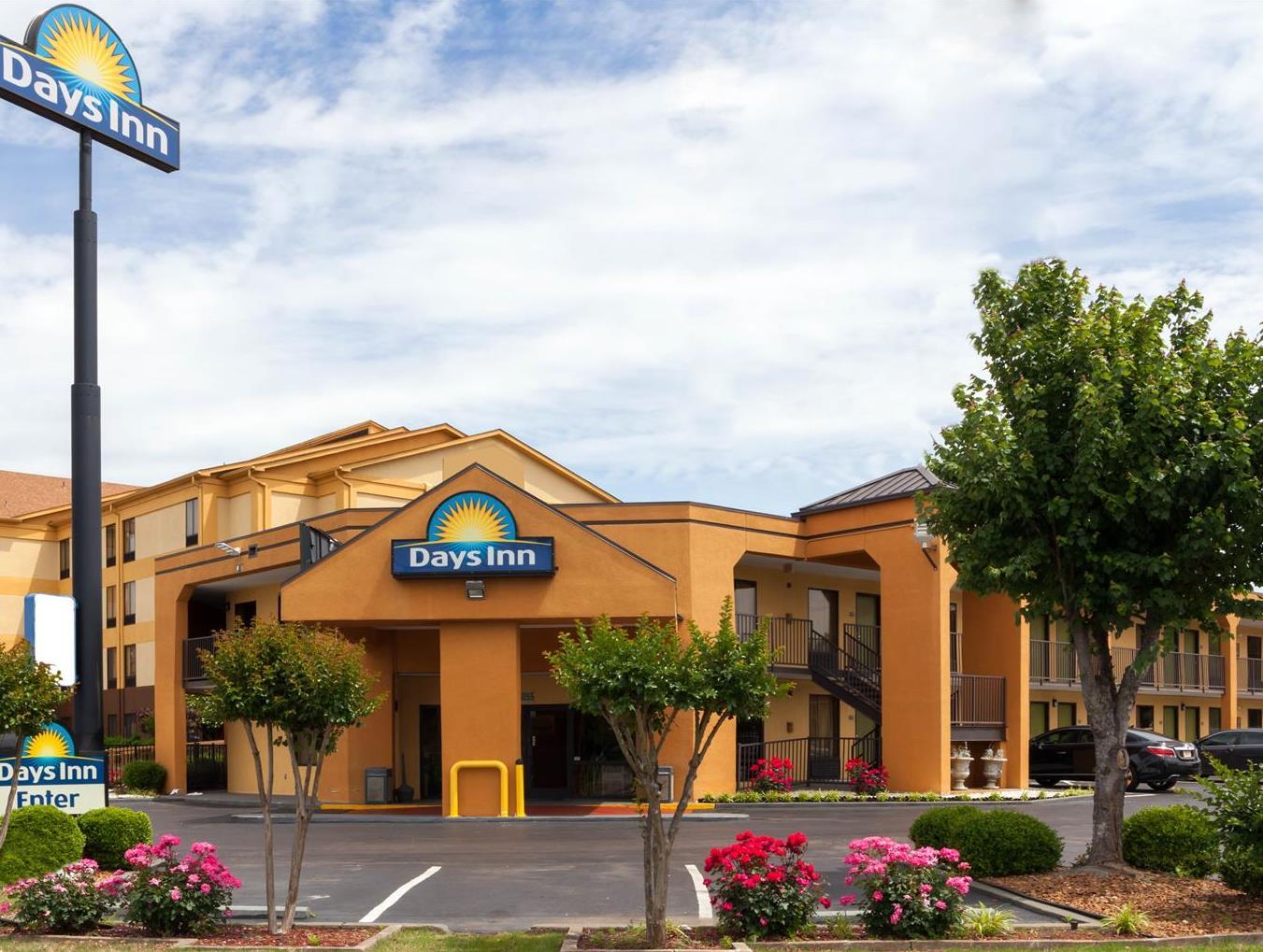 シェルビー イン 写真