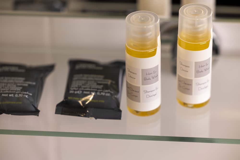 ホテル ドゥ ラデュキ 写真