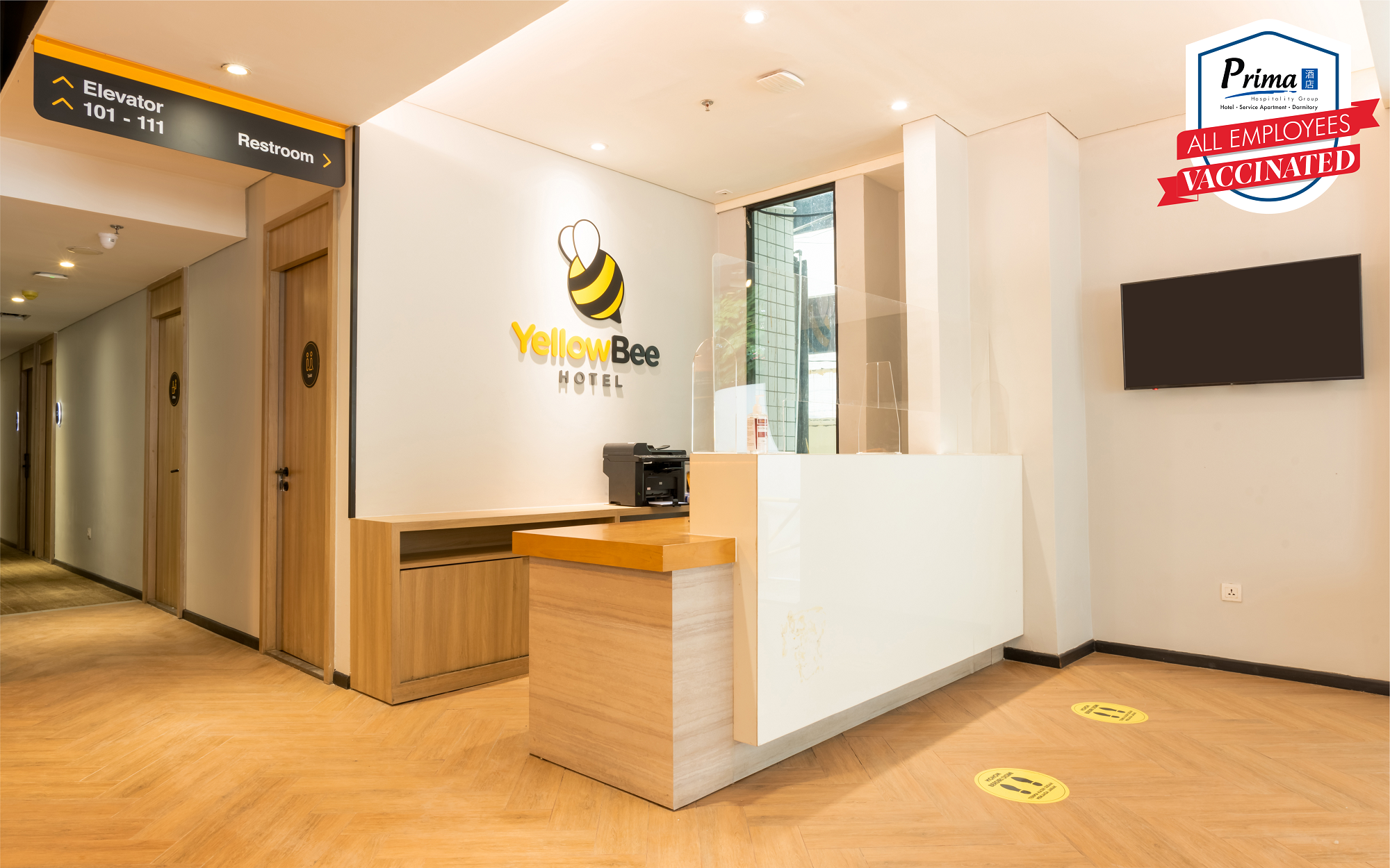 イエロー ビー タナ アバン 写真