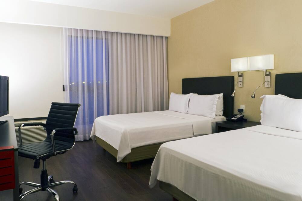 フィエスタ イン レオン 写真