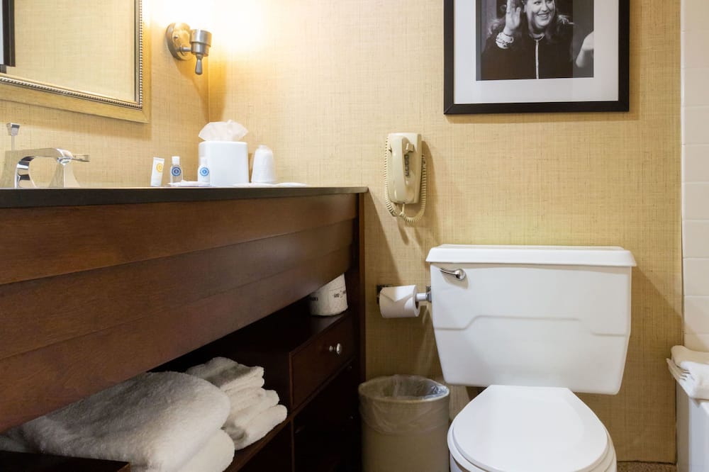 コンフォート イン & スイーツ ボルチモア インナー ハーバー 写真