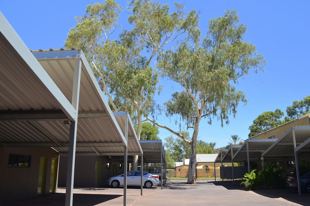 アリス オン トッド 写真