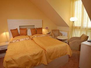 Hotel U Pramenu 写真