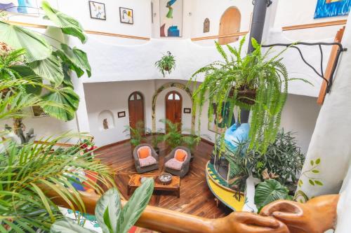 Finca-Rosa-Blanca 写真