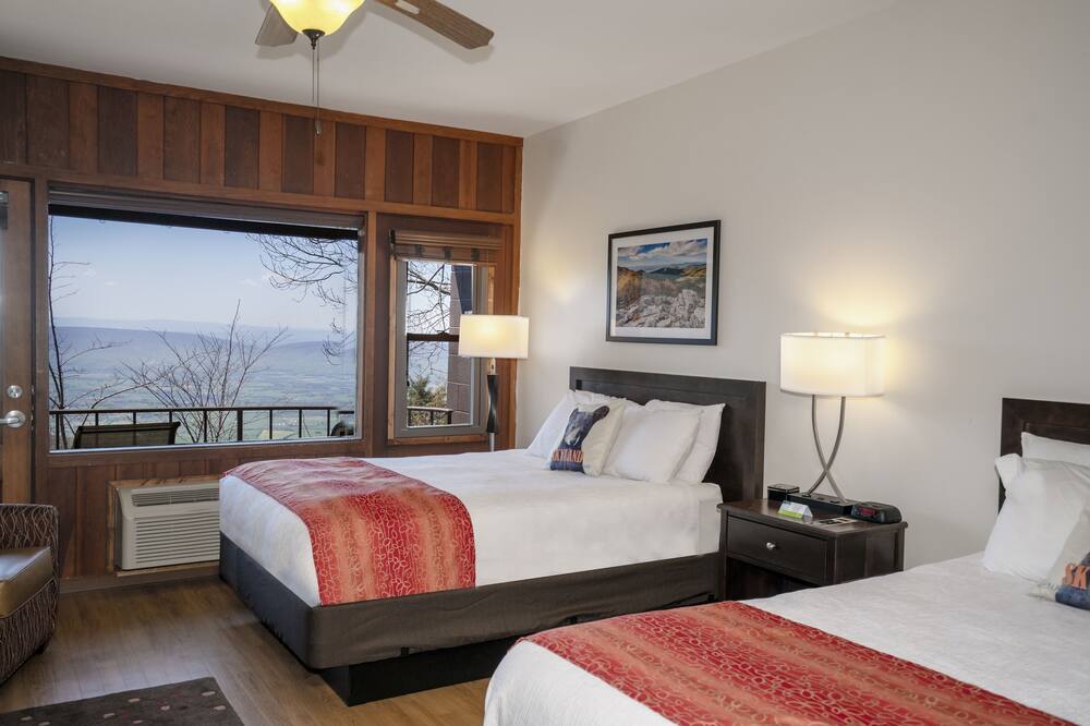 スカイランド 写真