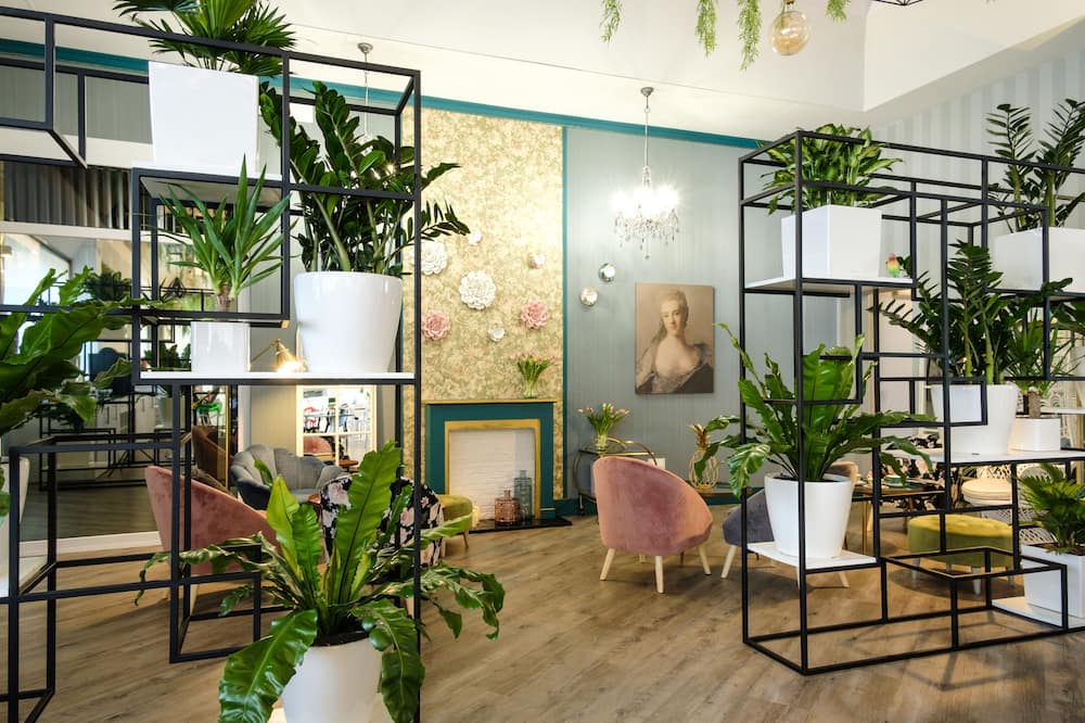 クレメント バラハス 写真