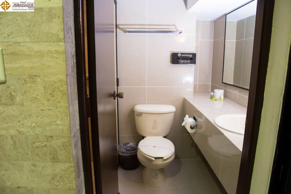 Hotel Ambassador 写真