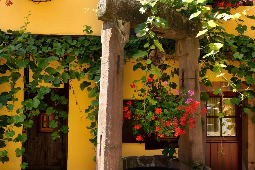 ル ダルスパック 写真