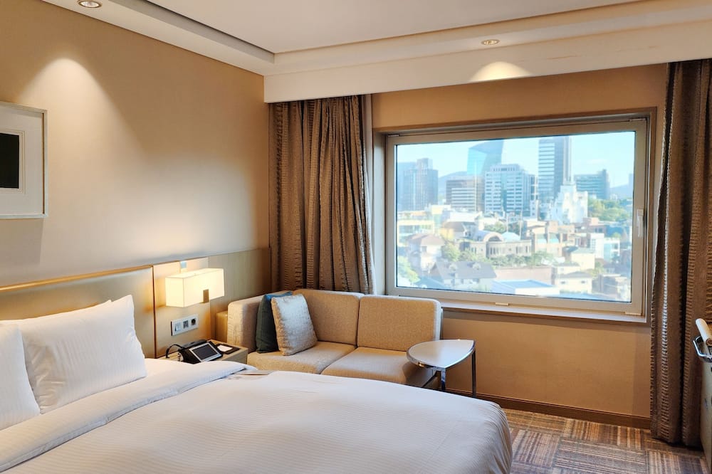 ノボテル アンバサダー ソウル カンナム 写真