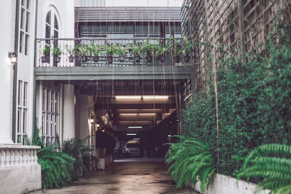 クラブ ツリー ホテル 写真