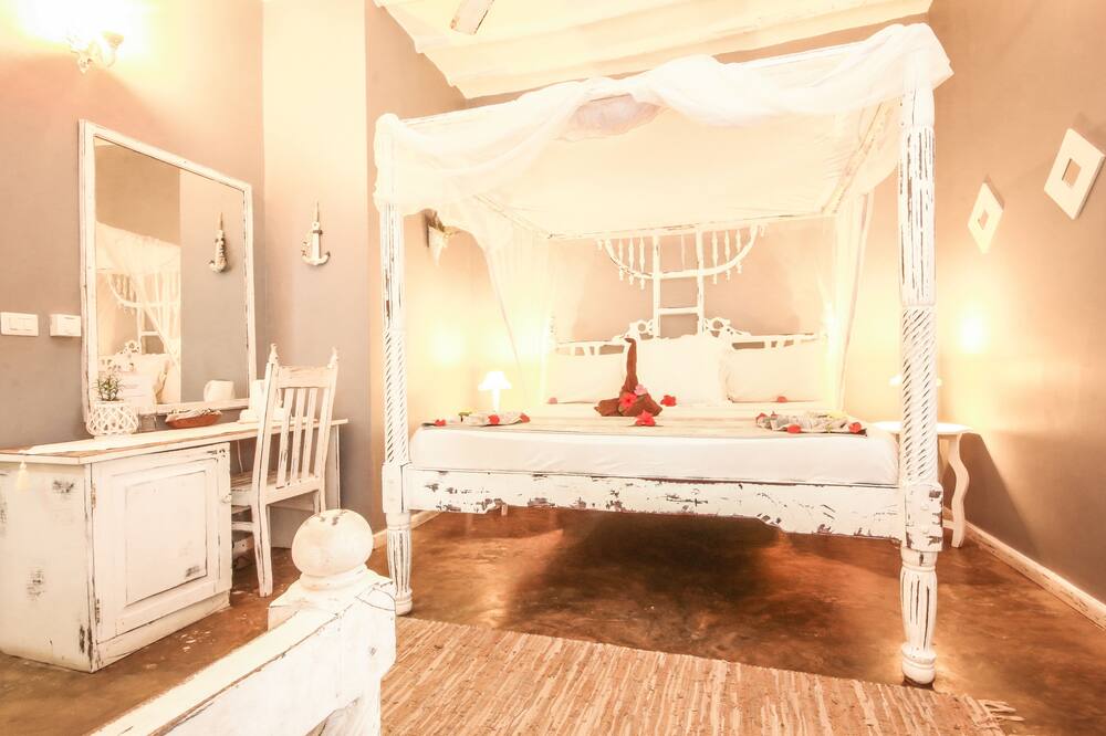 サハリ ザンジバル 写真