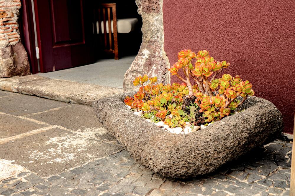 ホテル ソラール ド ボン ジェズス 写真