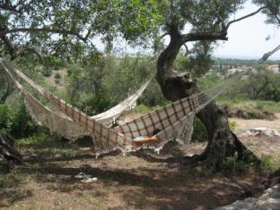Monte Do Alamo - Turismo Rural 写真