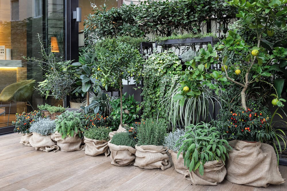 スターホテルズ E.c.ho. 写真