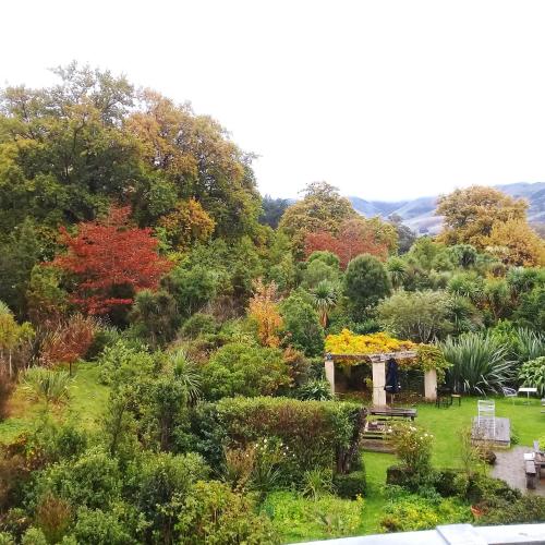 サイロステイ 写真