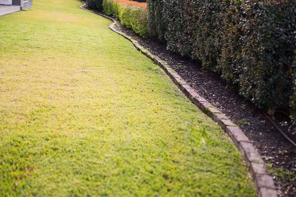 The Remington Motor Inn 写真