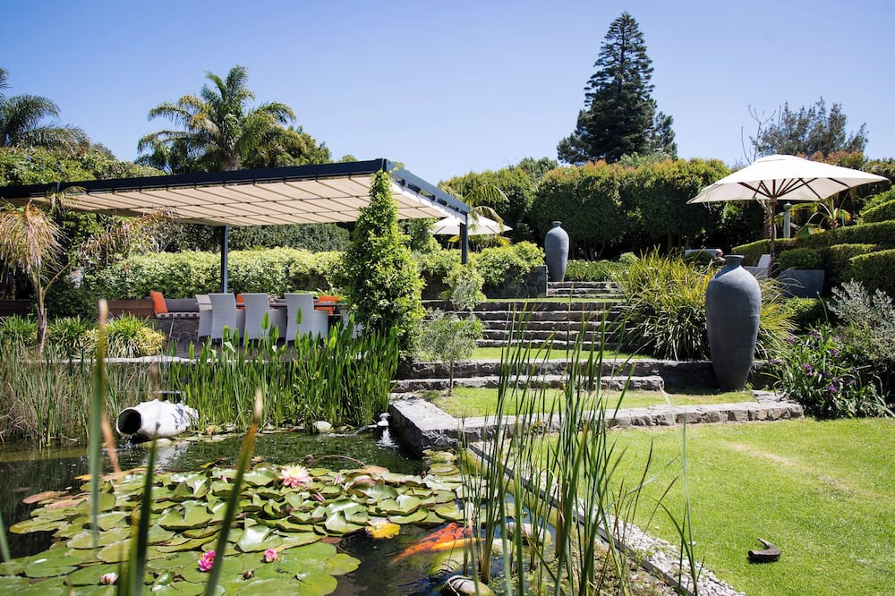 14 オン クライン コンスタンティア 写真