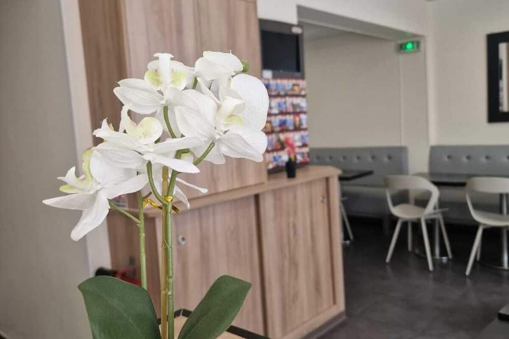 ホテル ダンジュー 写真