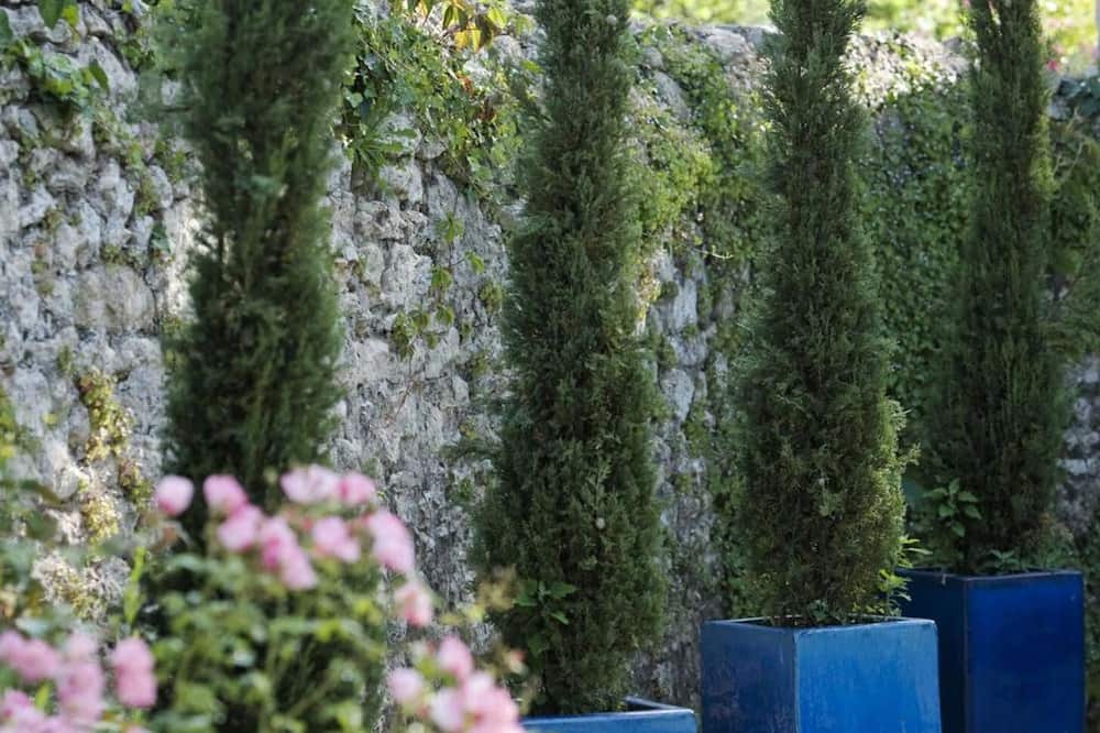 ラ ロズレ オテル レストラン 写真