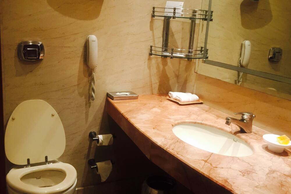 ザ スーリャ ホテル ニューデリー 写真