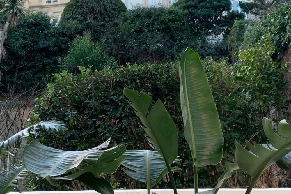 ル ガマリッツ 写真