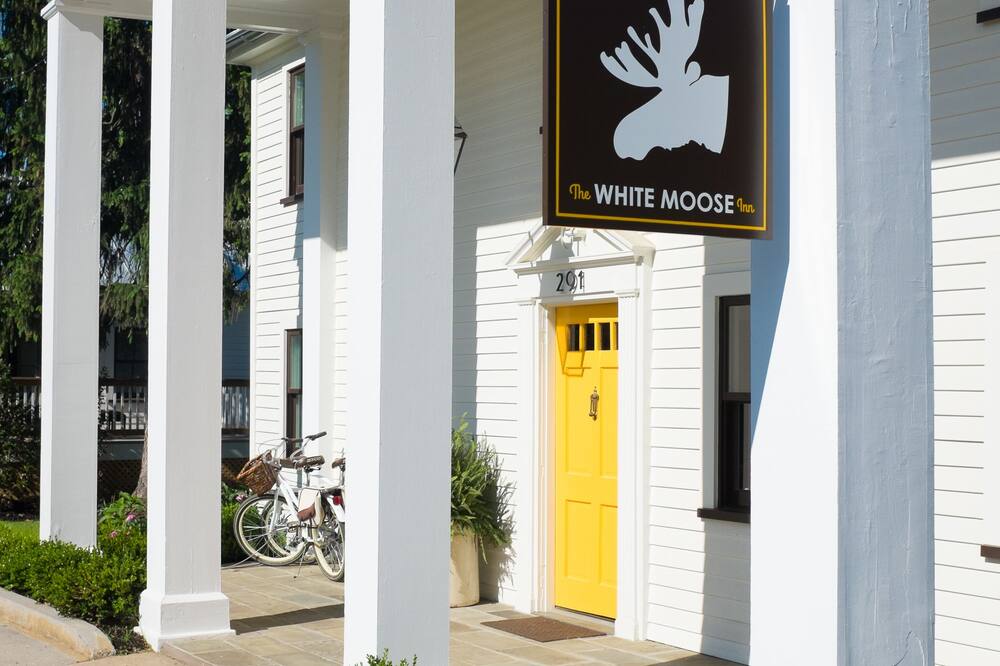 ホワイト ムース イン 写真