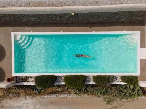 Halcyon Villas Naxos 写真