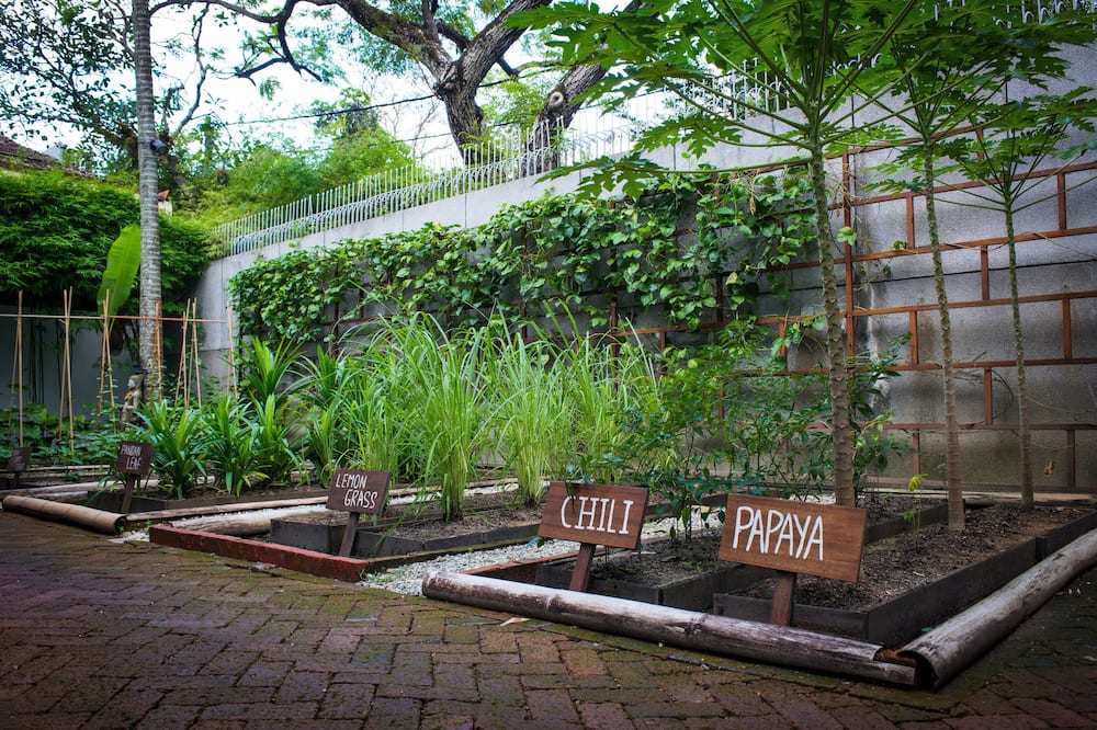 ヴィラ サマディ バイ サマディ - 12歳以上のみ 写真