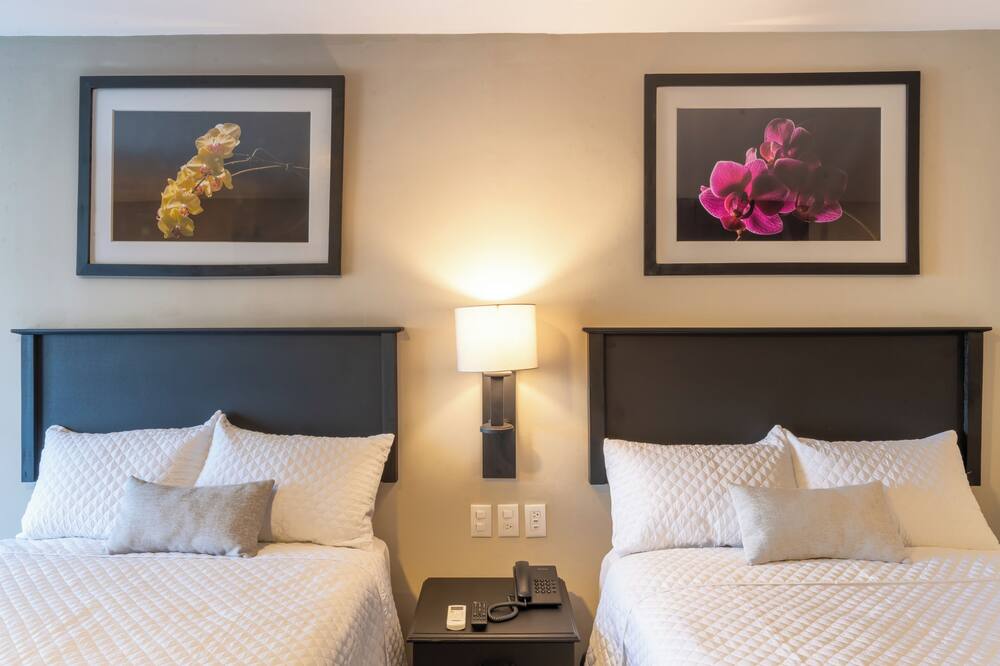 Conquistador Hotel & Conference Center 写真