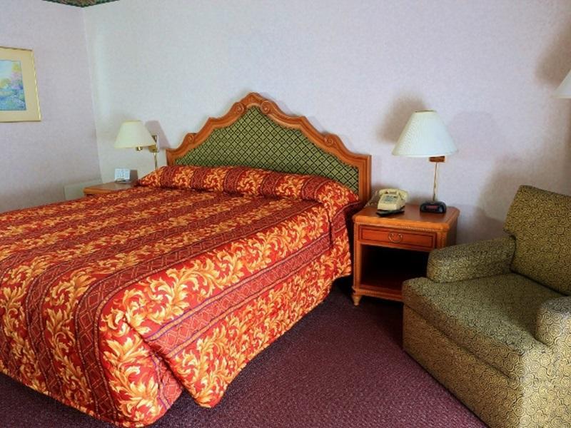 バレー イン 写真