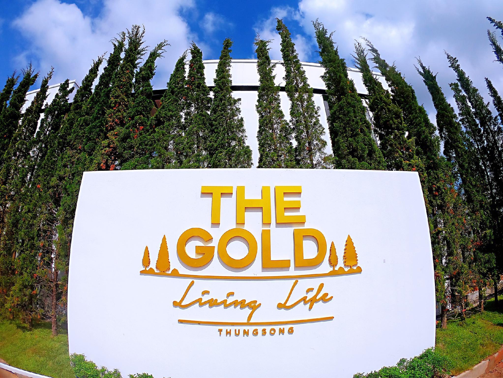 The Gold Living Life 写真
