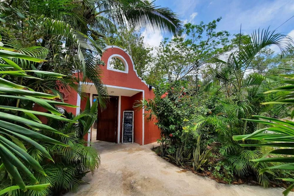 Casa Don Diego 写真