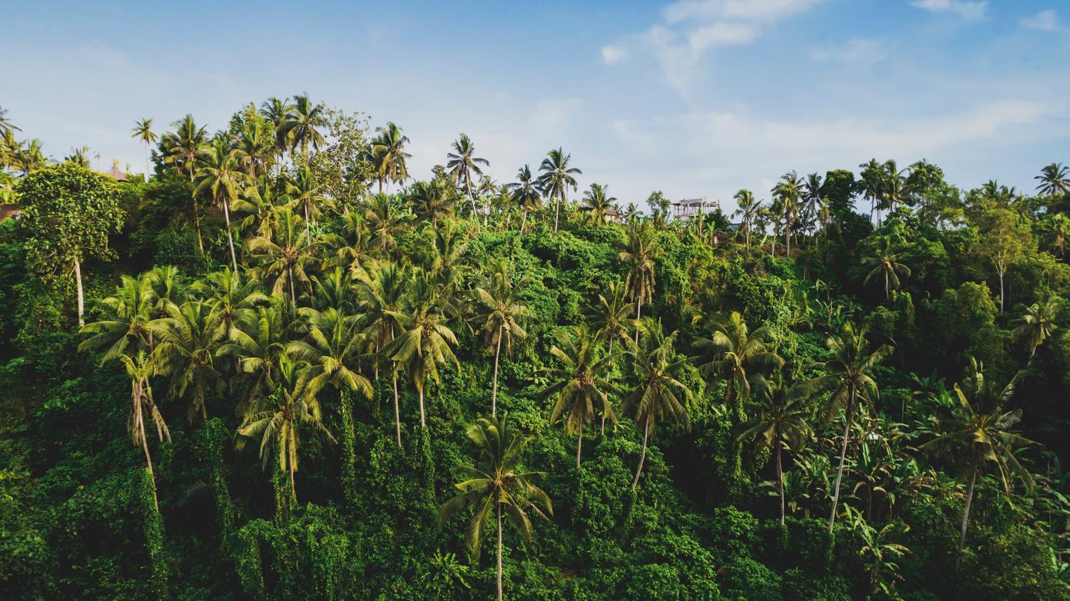 アモラ ウブド ブティック ヴィラズ 写真
