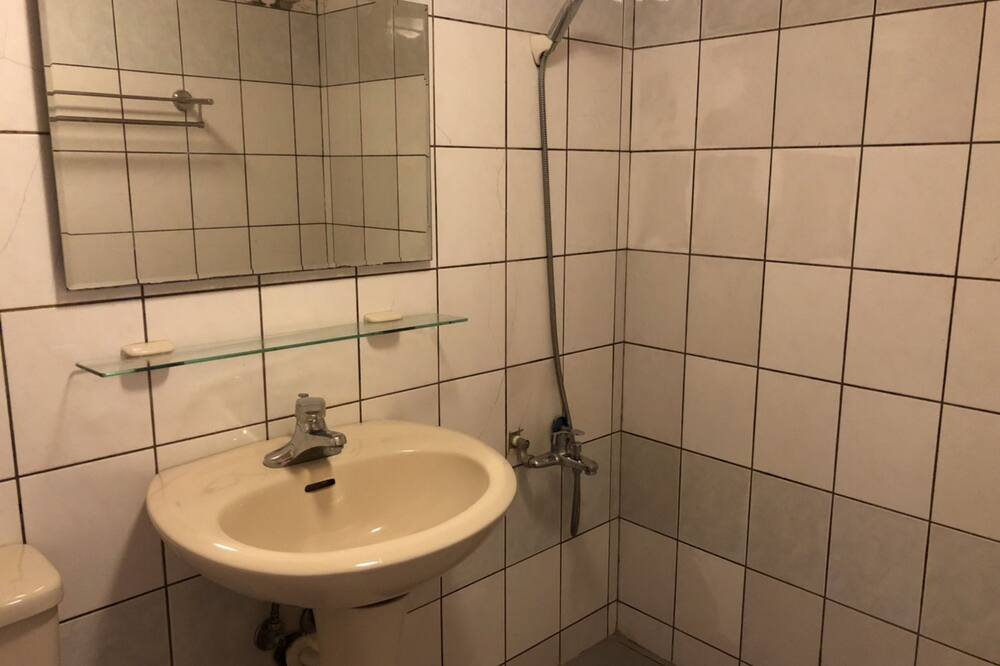 シンジン ブリリアント ツインズ オブ シアトル 写真