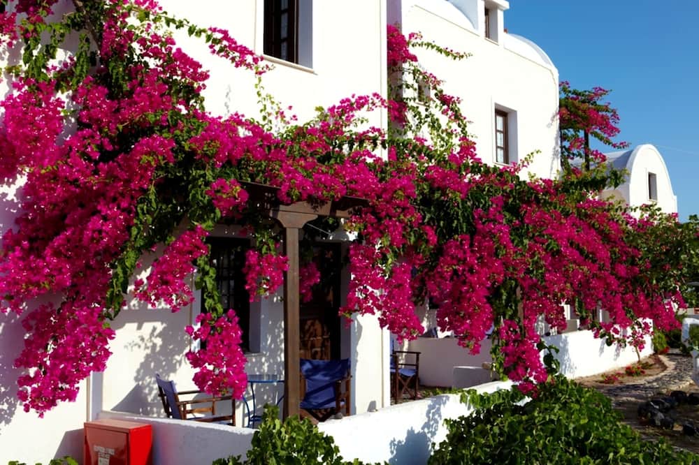 アナ トラディショナル アパートメンツ 写真