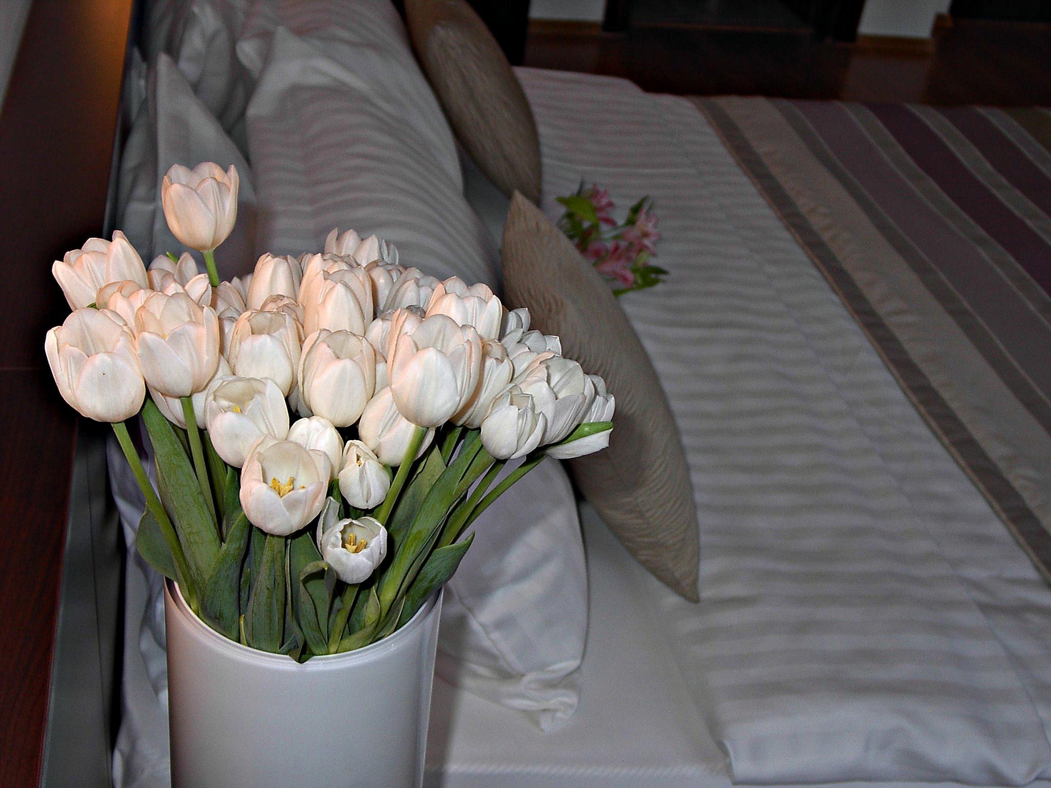 ユニーク ホテル ブカレスト 写真