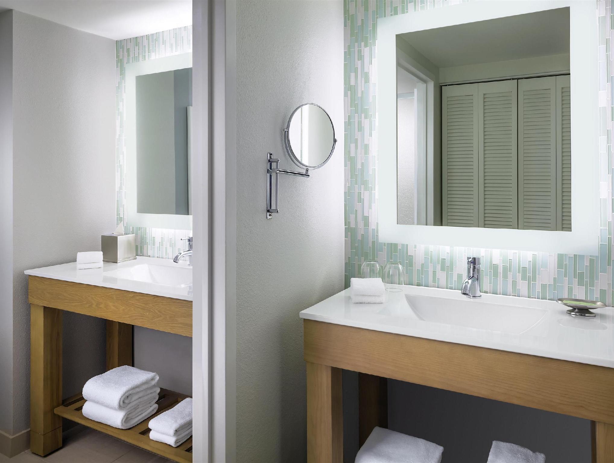 ウォルト ディズニー ワールド ドルフィン 写真