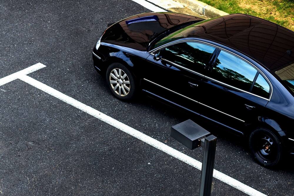 キャプテン ジョン スミス イン 写真