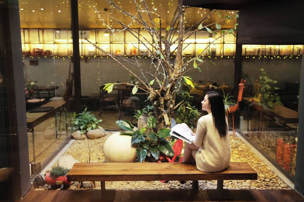 デジャ ヴ ハウス 写真