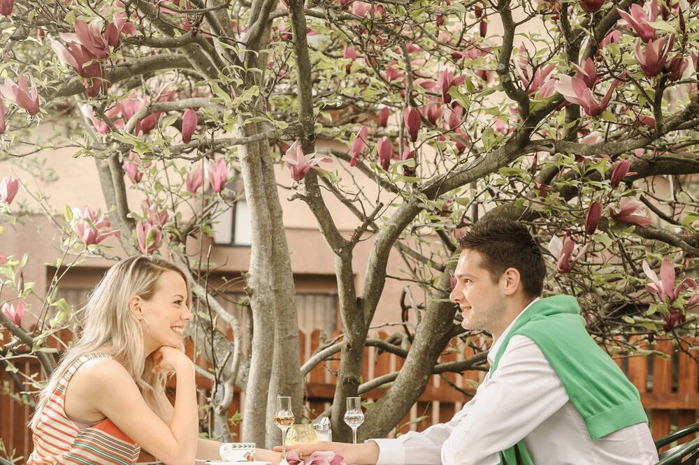 Hotel Donauhof 写真