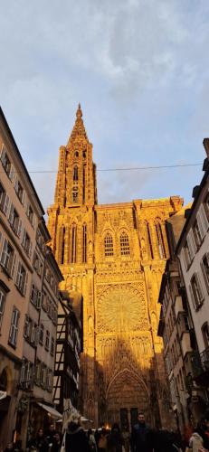 Cathédrale 写真