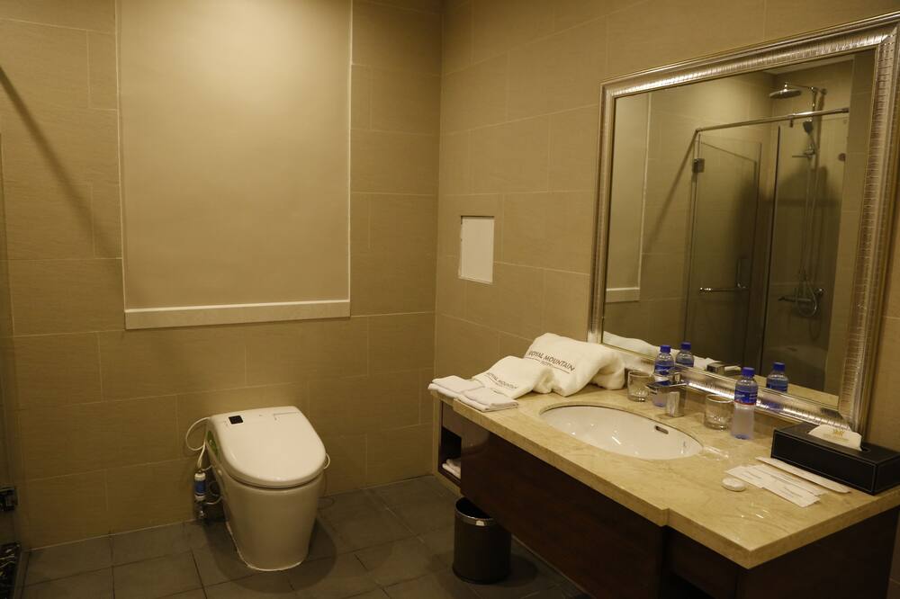 ロイヤル マウンテン ホテル 写真