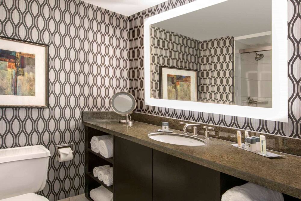 ダブルツリー バイ ヒルトン シカゴ ウッドデール エルクグローブ 写真