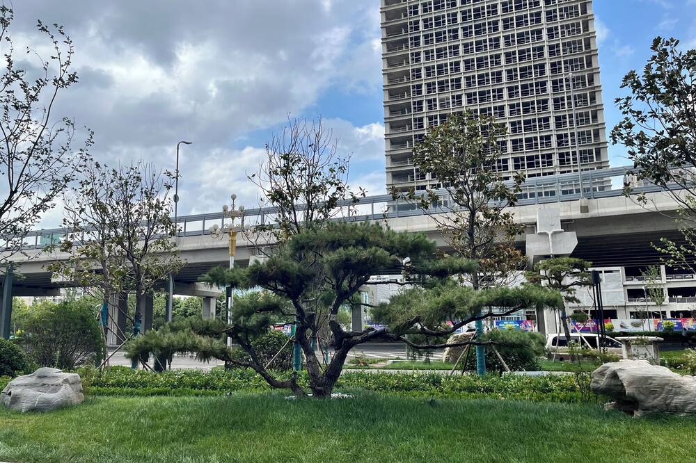 フェアフィールド バイ マリオット 淄博 写真