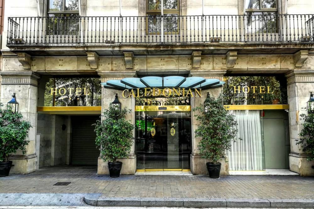 カレドニアン 写真