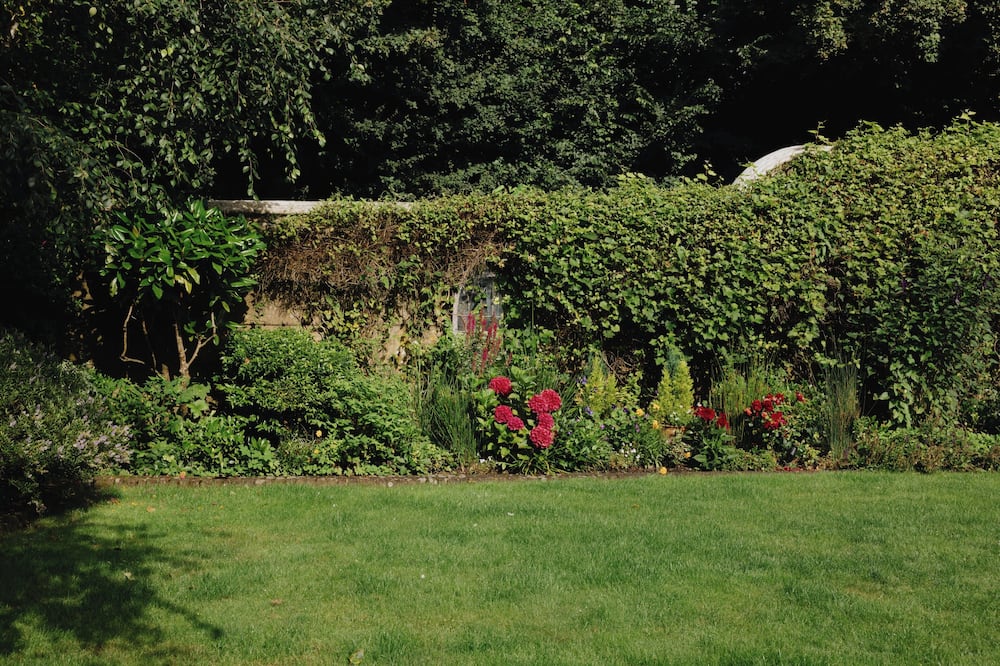 Wingrove House 写真