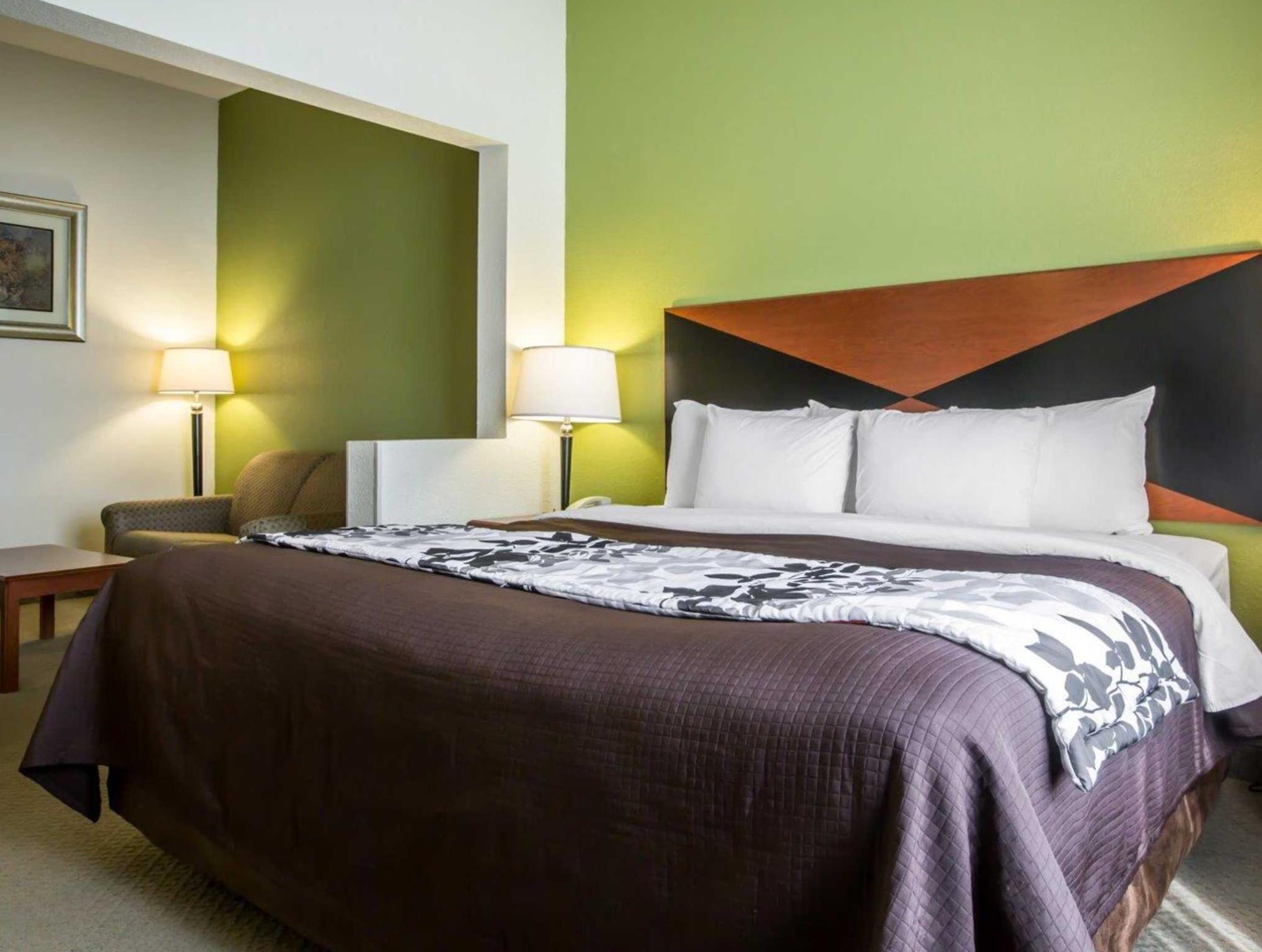 スリープ イン & スイーツ モンゴメリー イースト I-85 写真