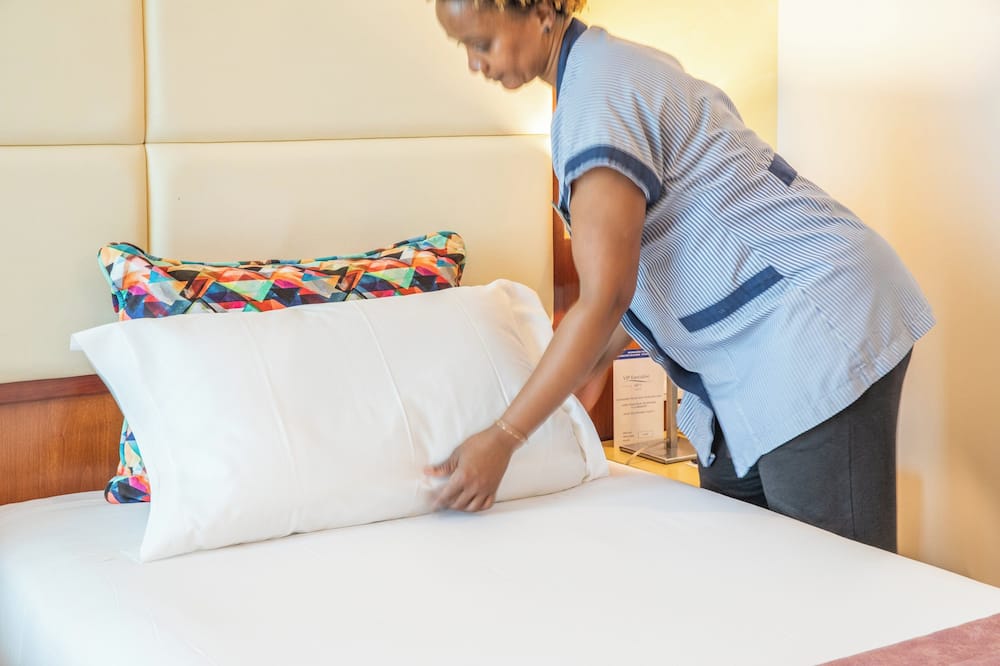 VIP エグゼクティブ アーツ ホテル 写真