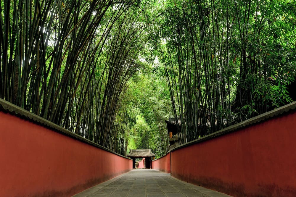 ホリデイ イン エクスプレス 成都 鼓楼 by IHG (成都鼓楼智選假日酒店) 写真